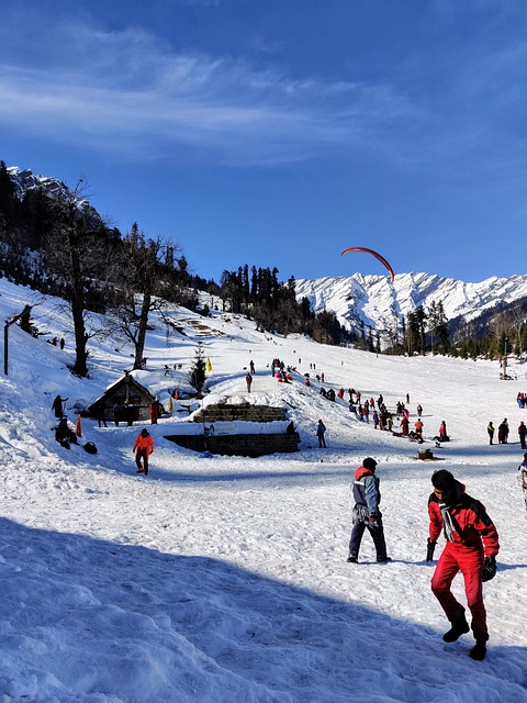 Travelwandrer.com-Manali